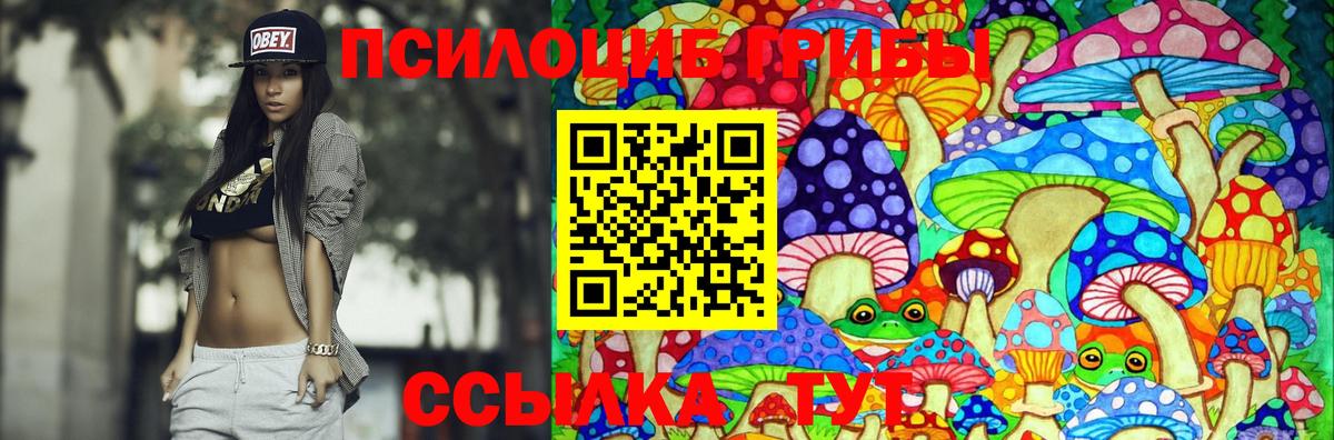 Псилоцибиновые грибы GOLDEN TEACHER Мыски